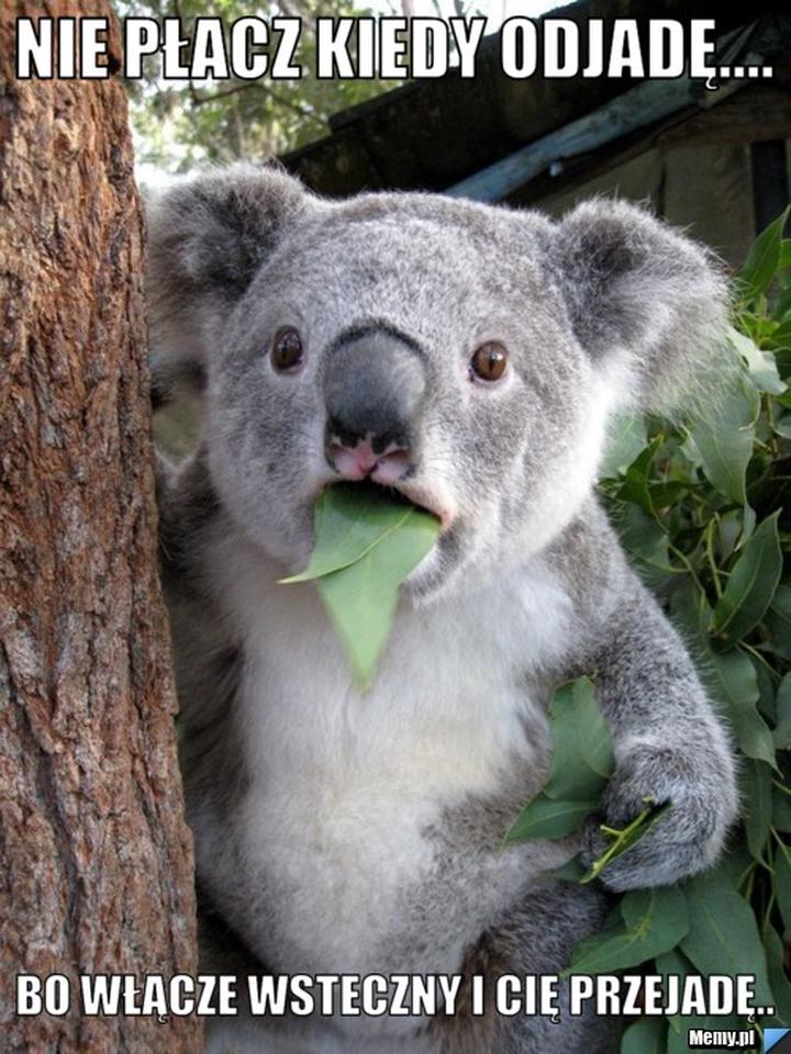 Krok po kroku nauka akordów