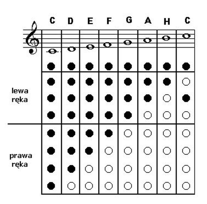 Flet dla początkujących