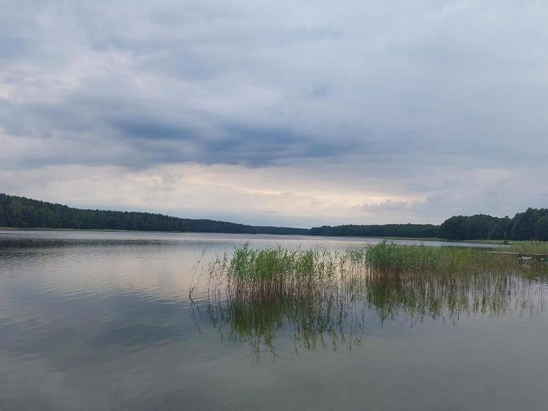 Pobieranie muzyki z Tidal poradnik