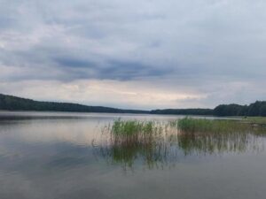 Jak w prosty sposób pobrać utwór z Tidal? Oto kluczowe kroki do wykonania