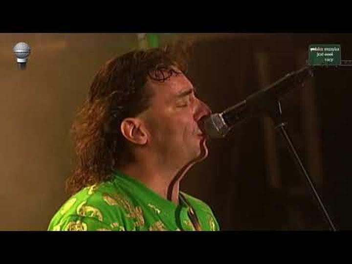 Odkryj akordy do „Kocham cię jak Irlandię” na gitarę i ukulele