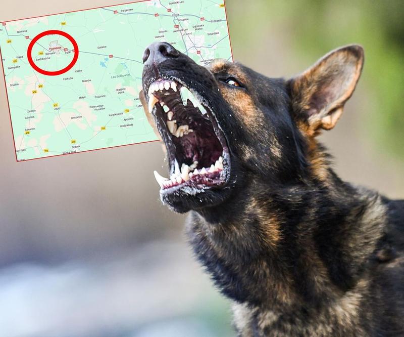 Rolę muzyki w narracji