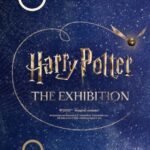 Jak zagrać ulubione melodie z Harrego Pottera na cymbałkach – nuty i praktyczne porady