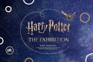 Jak zagrać ulubione melodie z Harrego Pottera na cymbałkach – nuty i praktyczne porady