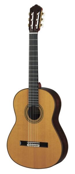 Rodzaje gitar dla początkujących